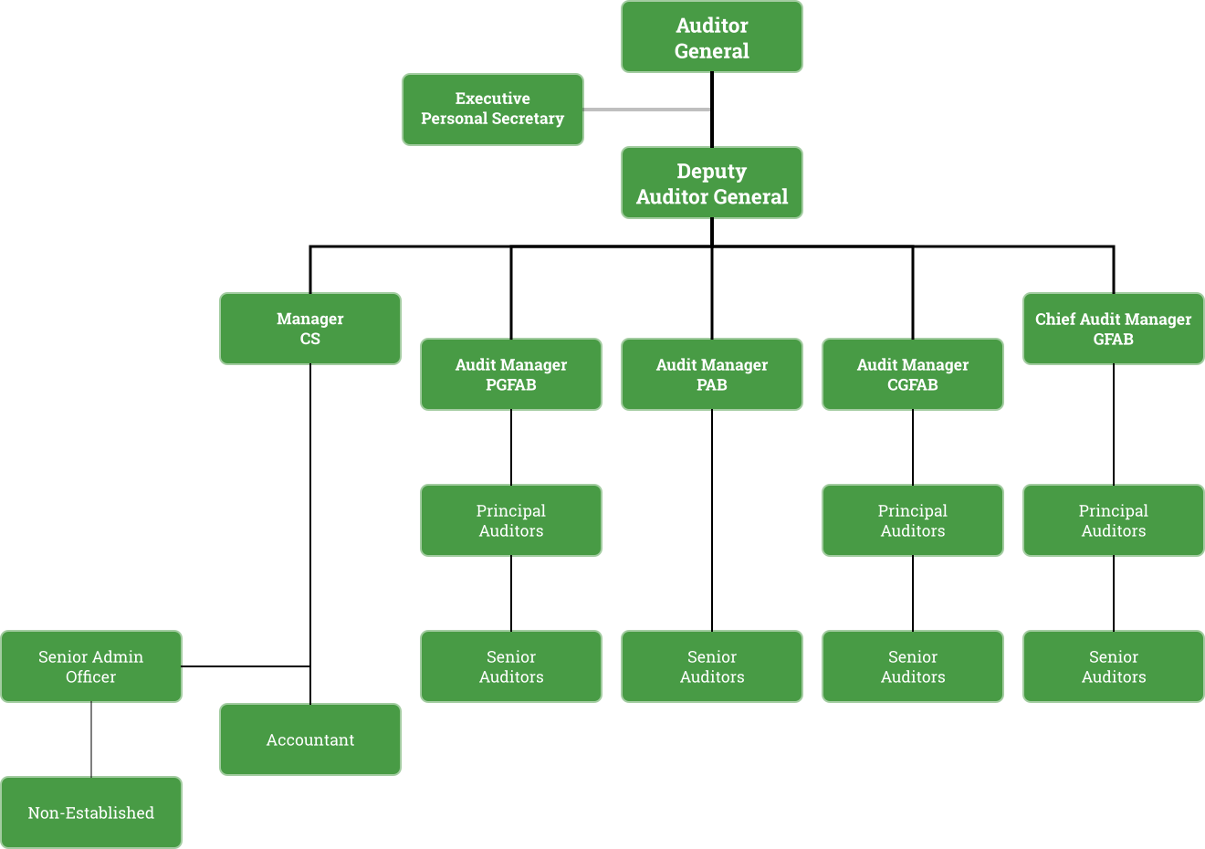 Audit Structure Chart